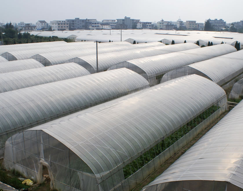 冠赢国际·(中国游)有限公司官网