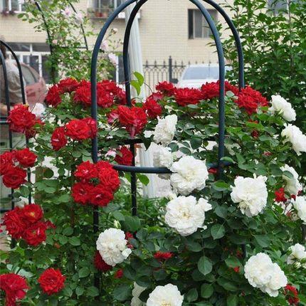 冠赢国际·(中国游)有限公司官网