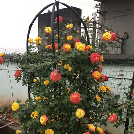 冠赢国际·(中国游)有限公司官网