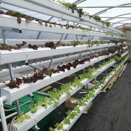 冠赢国际·(中国游)有限公司官网