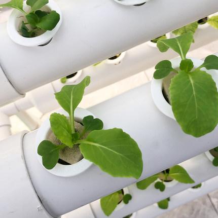 冠赢国际·(中国游)有限公司官网